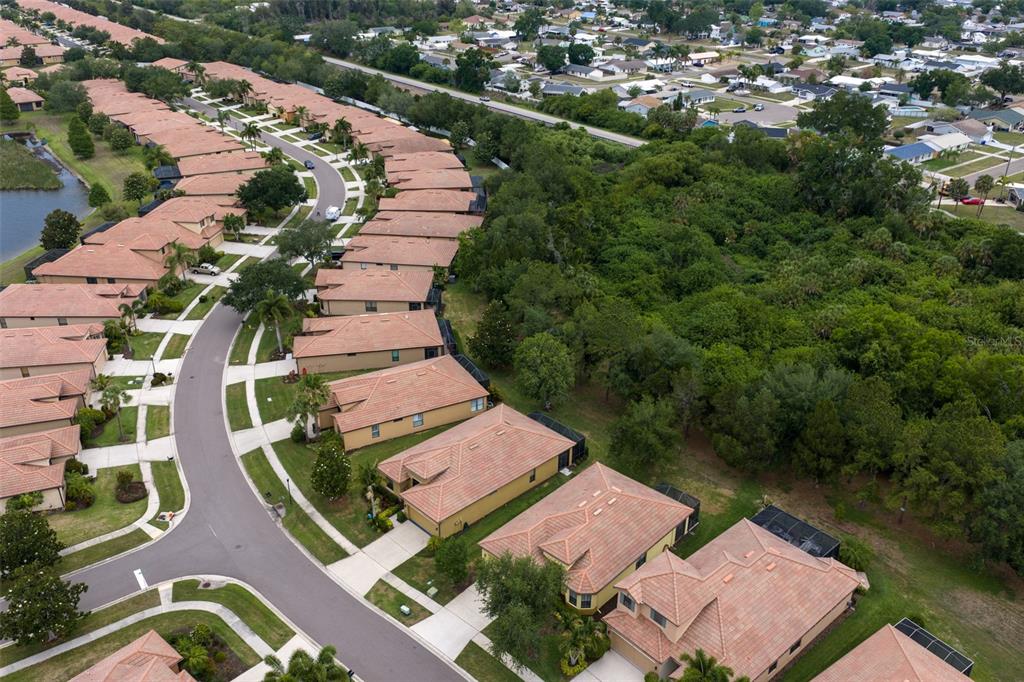 147 Silver Falls Drive Apollo Beach, FL 33572 - Photo 40 of 72