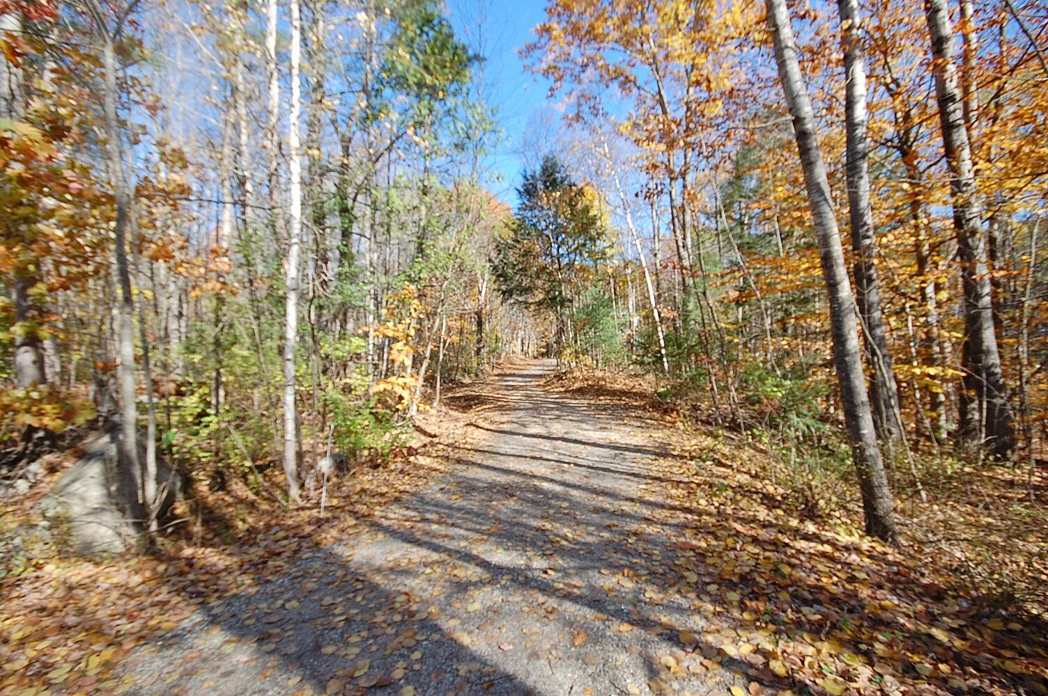 176 Bailey Hill Road Poland, ME 04274 - Photo 49 of 50 Maine_Poland_Tru Brit Realty Group_Kelle