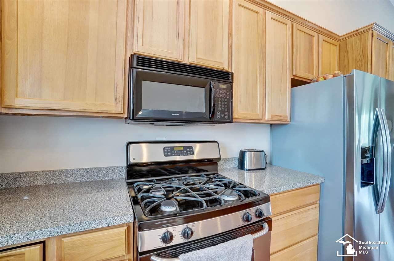 4723 West Albain Road Monroe, MI 48161 - Photo 16 of 85