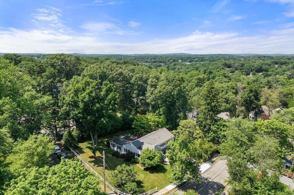 19 Druid Hill Road Newton, MA 02461 - Photo 35 of 35