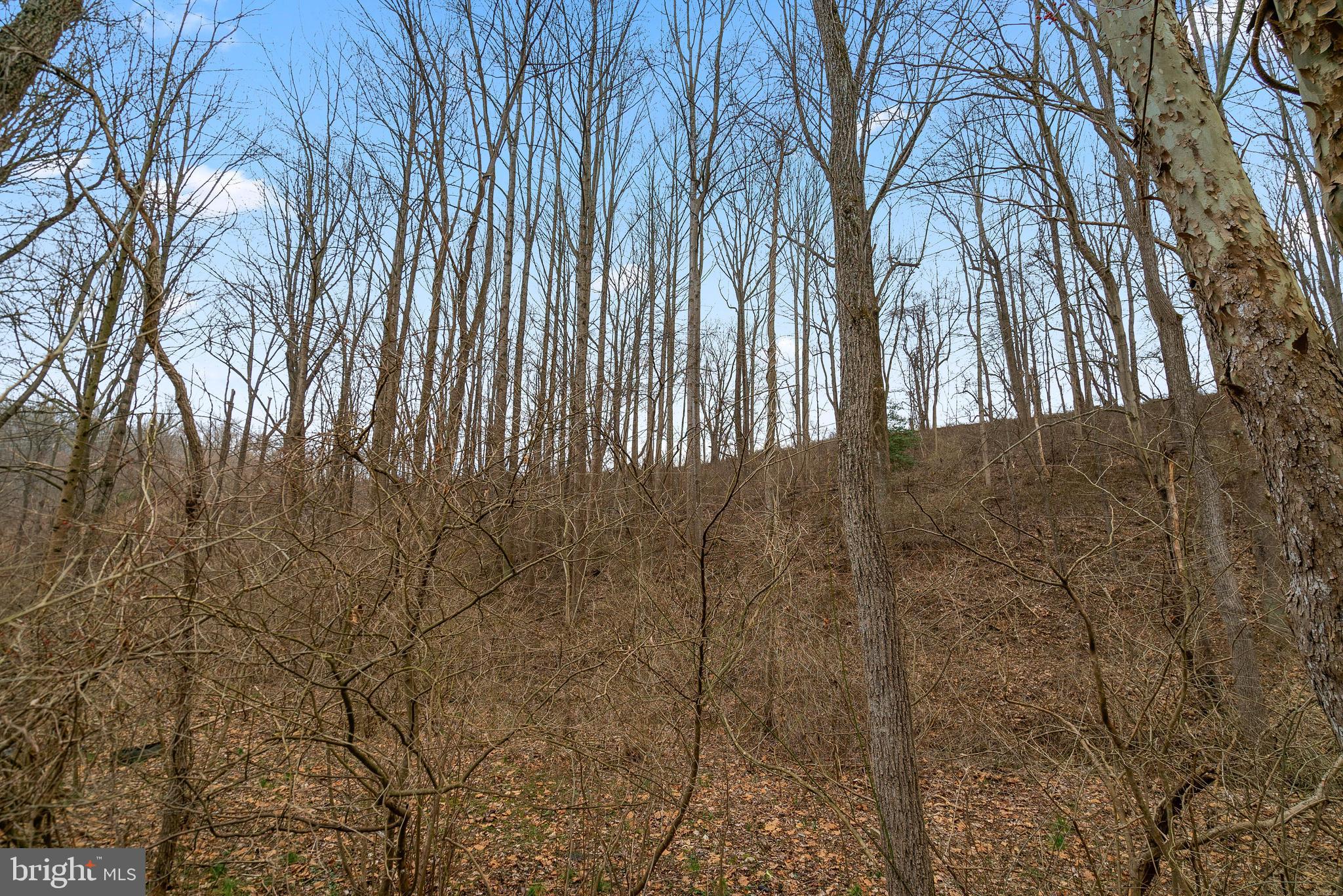 1640 North Tannery Road Westminster, MD 21157 - Photo 5 of 8 Lot