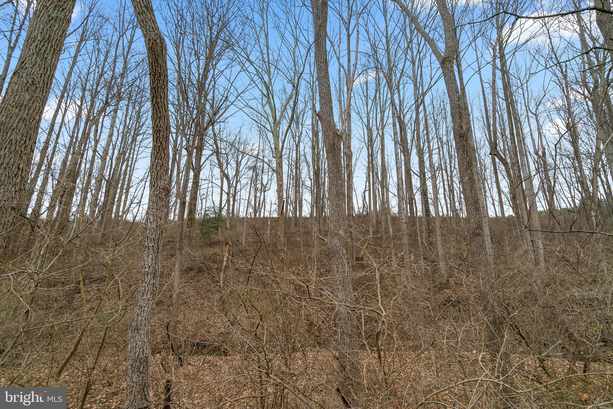1640 North Tannery Road Westminster, MD 21157 - Photo 6 of 8 Lot