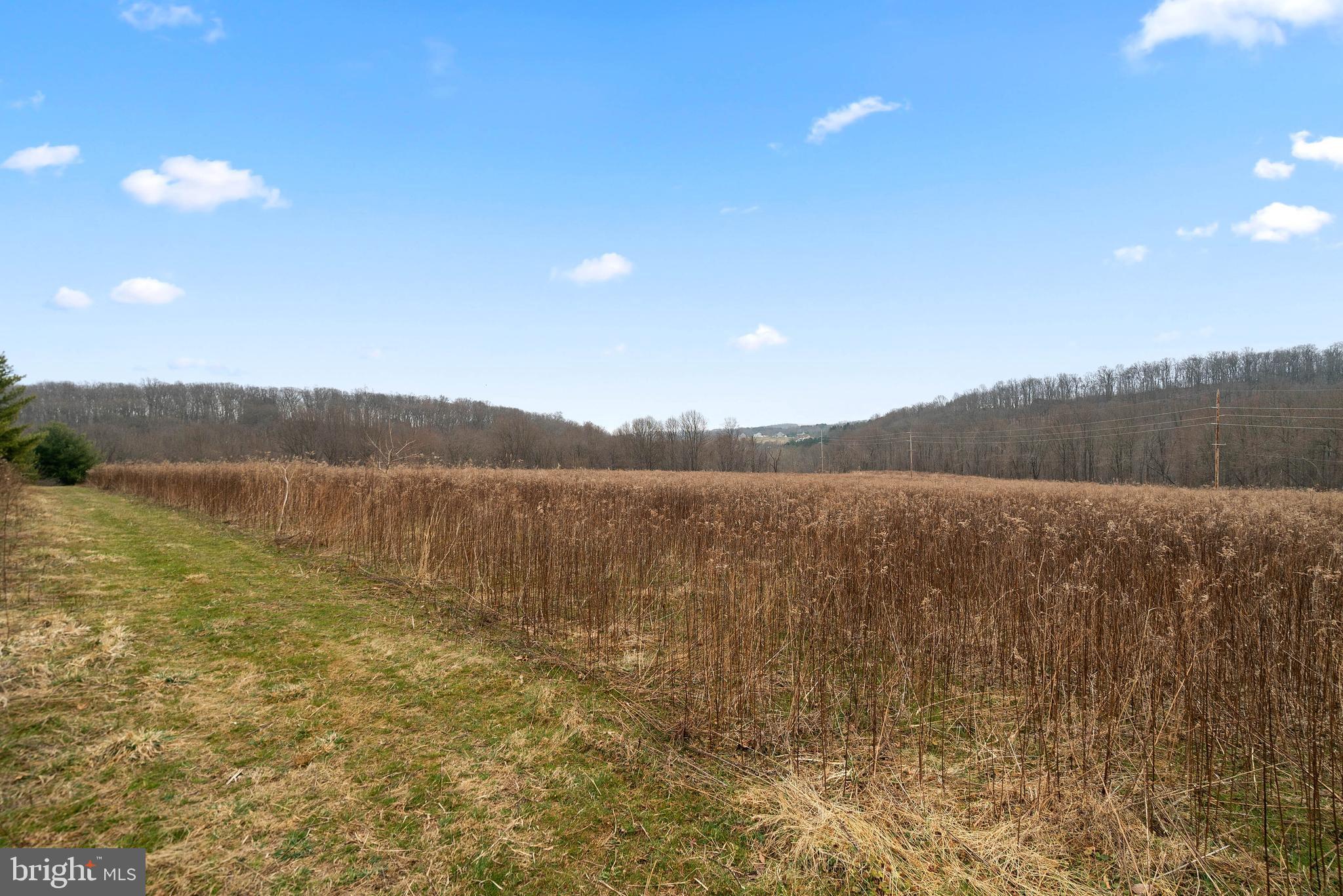 1640 North Tannery Road Westminster, MD 21157 - Photo 8 of 8 Lot