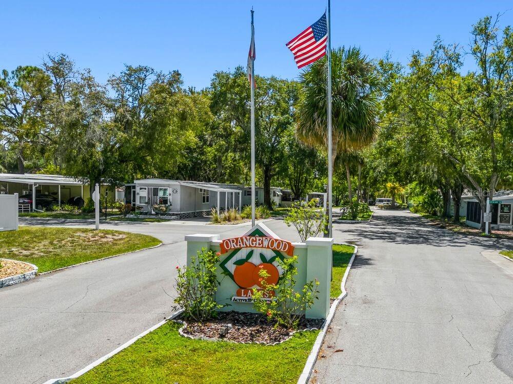 6445 Belle Terre Road New Port Richey, FL 34653 - Photo 6 of 16 a view of a house with swimming pool and a yard