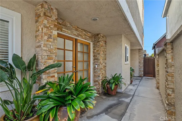 a potted plant sitting in front of a house
