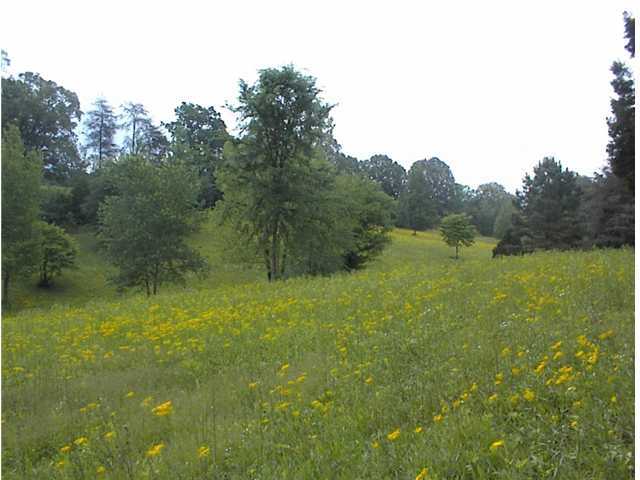 699 Pittman Road Whitwell, TN 37397 - Photo 28 of 28 Additional Photo