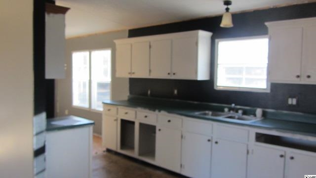 110 Scott Road Hemingway, SC 29554 - Photo 8 of 10