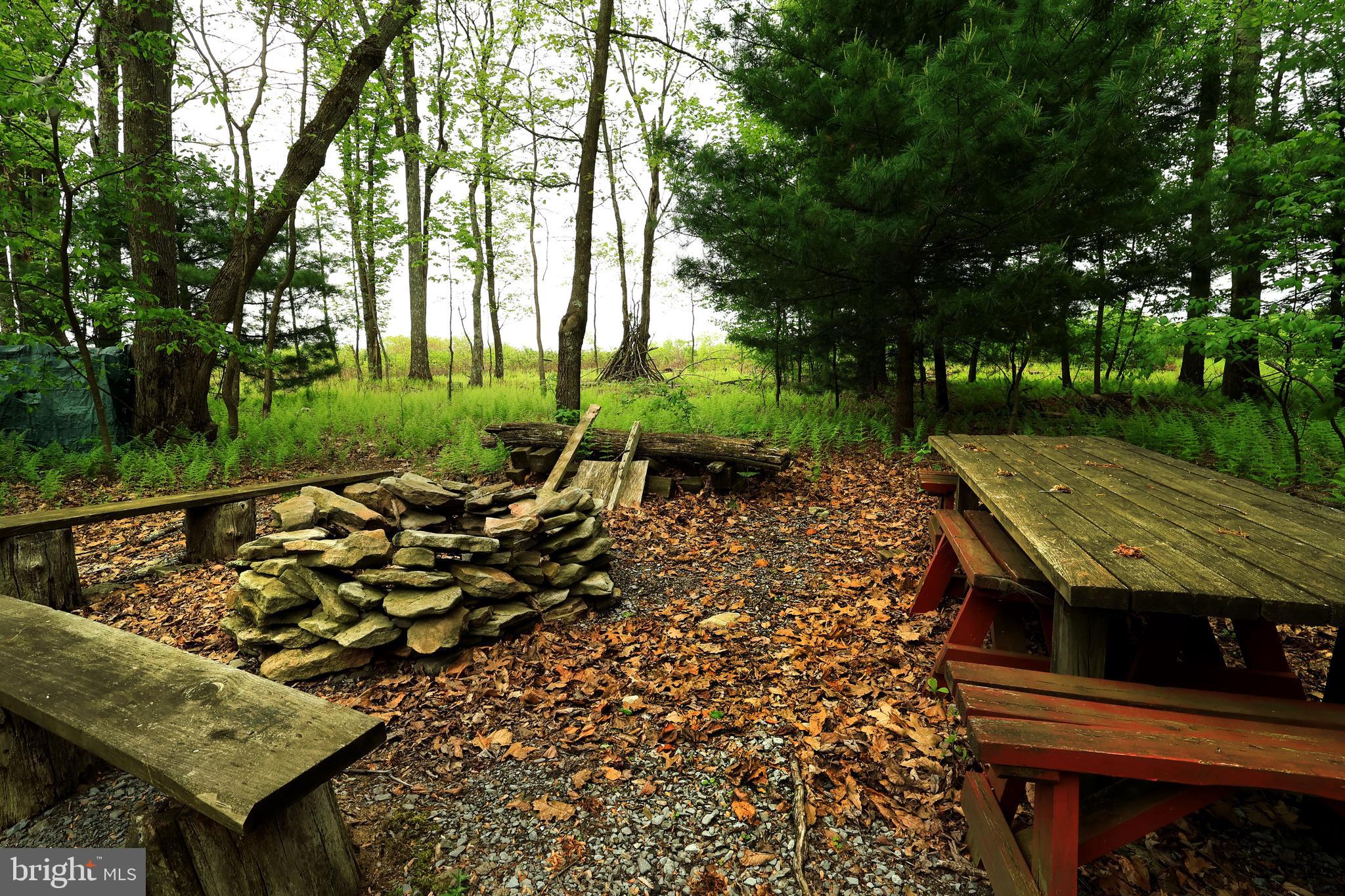 299 Snow Shoe Mountain Forest Road Snow Shoe, PA 16874 - Photo 22 of 27