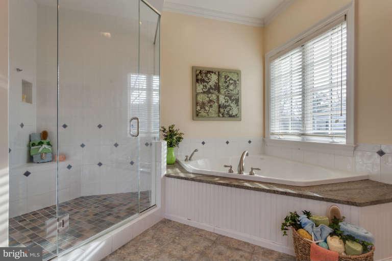 3722 Cardiff Road Chevy Chase, MD 20815 - Photo 19 of 30 Bath (Master)