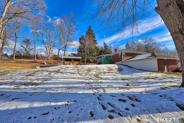 a view of road with large trees