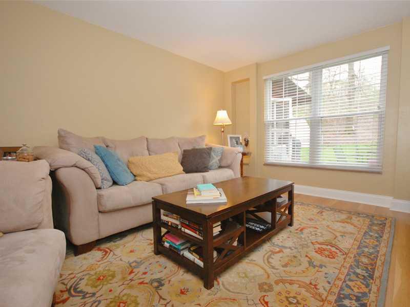 Living Room. Another source of sunshine in the living room comes from this window overlooking the rear of the property.