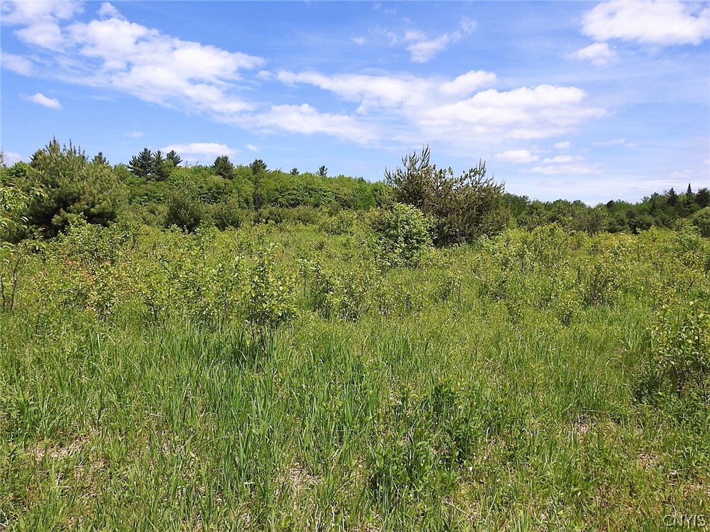 0 Bower Road Constableville, NY 13325 - Photo 20 of 37