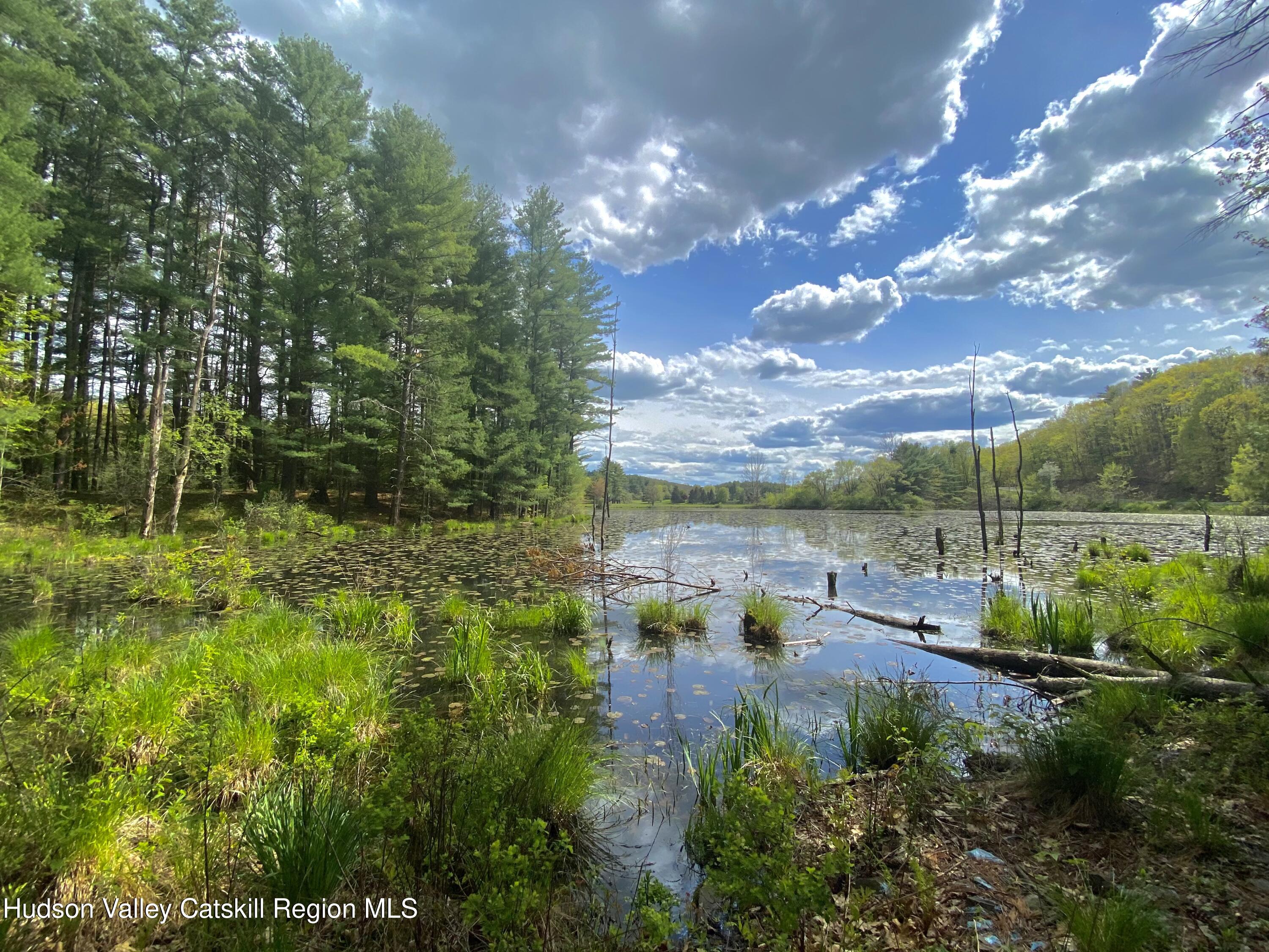 177 Webber Road Earlton, NY 12058 - Photo 37 of 50 a view of a lake with houses in back