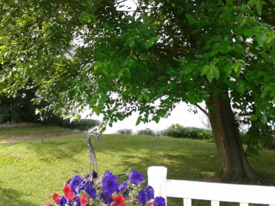 58794 Ash Road Three Rivers, MI 49093 - Photo 15 of 47 image0000031