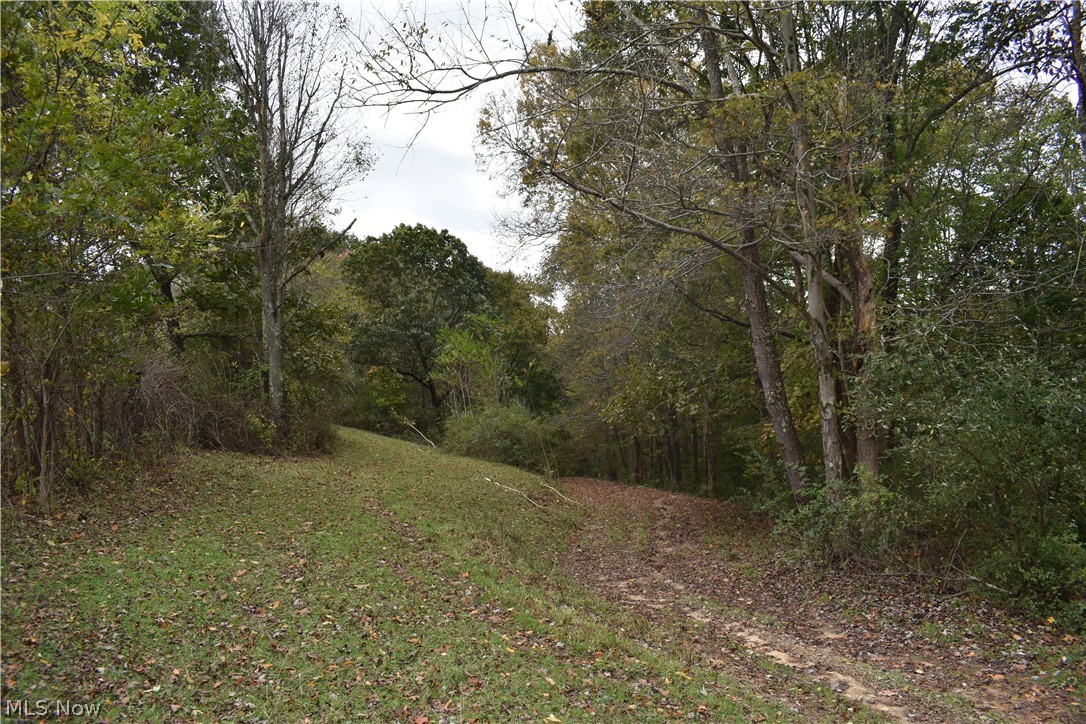 Burkhart Road Tippecanoe, OH 44699 - Photo 3 of 24 Gallery Image 3