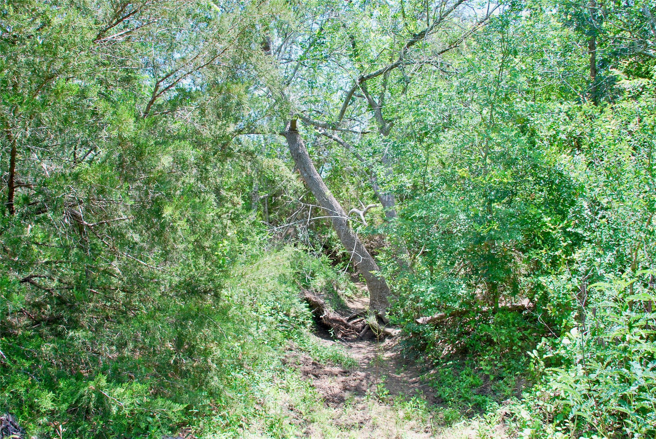 2170 Langdon Road Weimar, TX 78962 - Photo 21 of 31