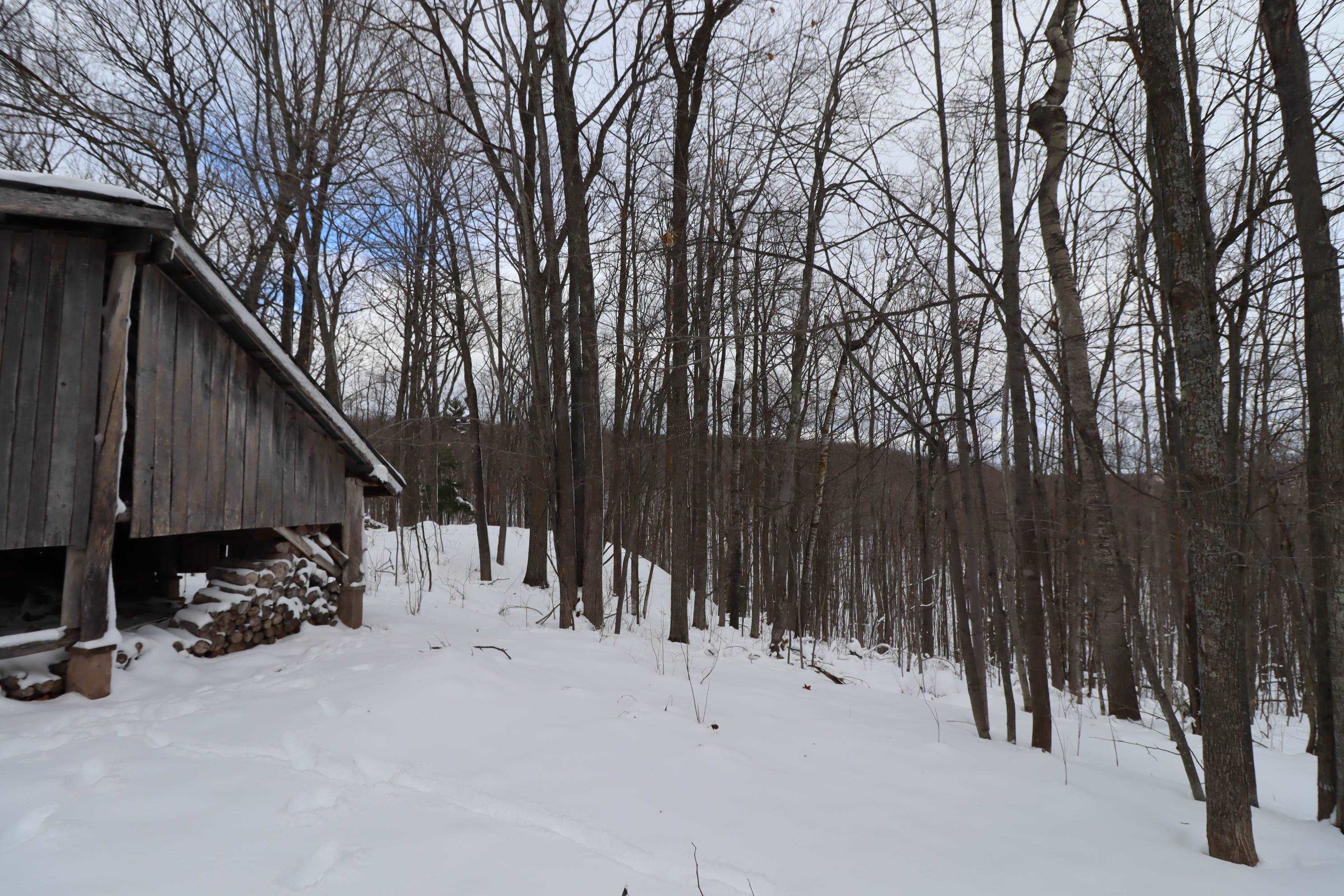 85455 Happy Hollow Road Bayfield, WI 54814 - Photo 39 of 60