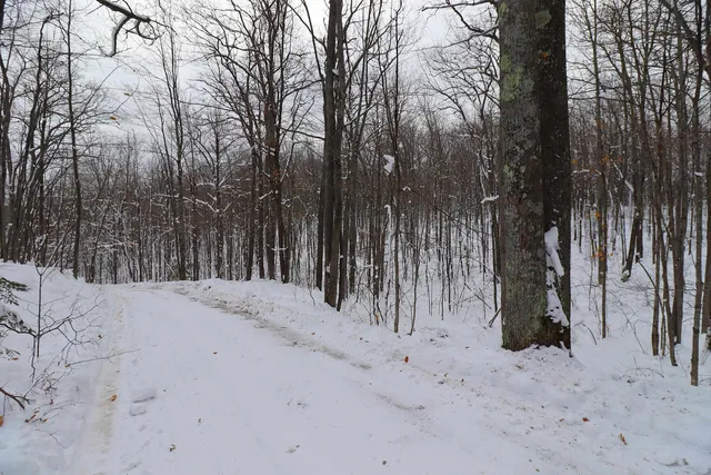 $399,900 | 85455 Happy Hollow Road, Bayfield, WI 54814