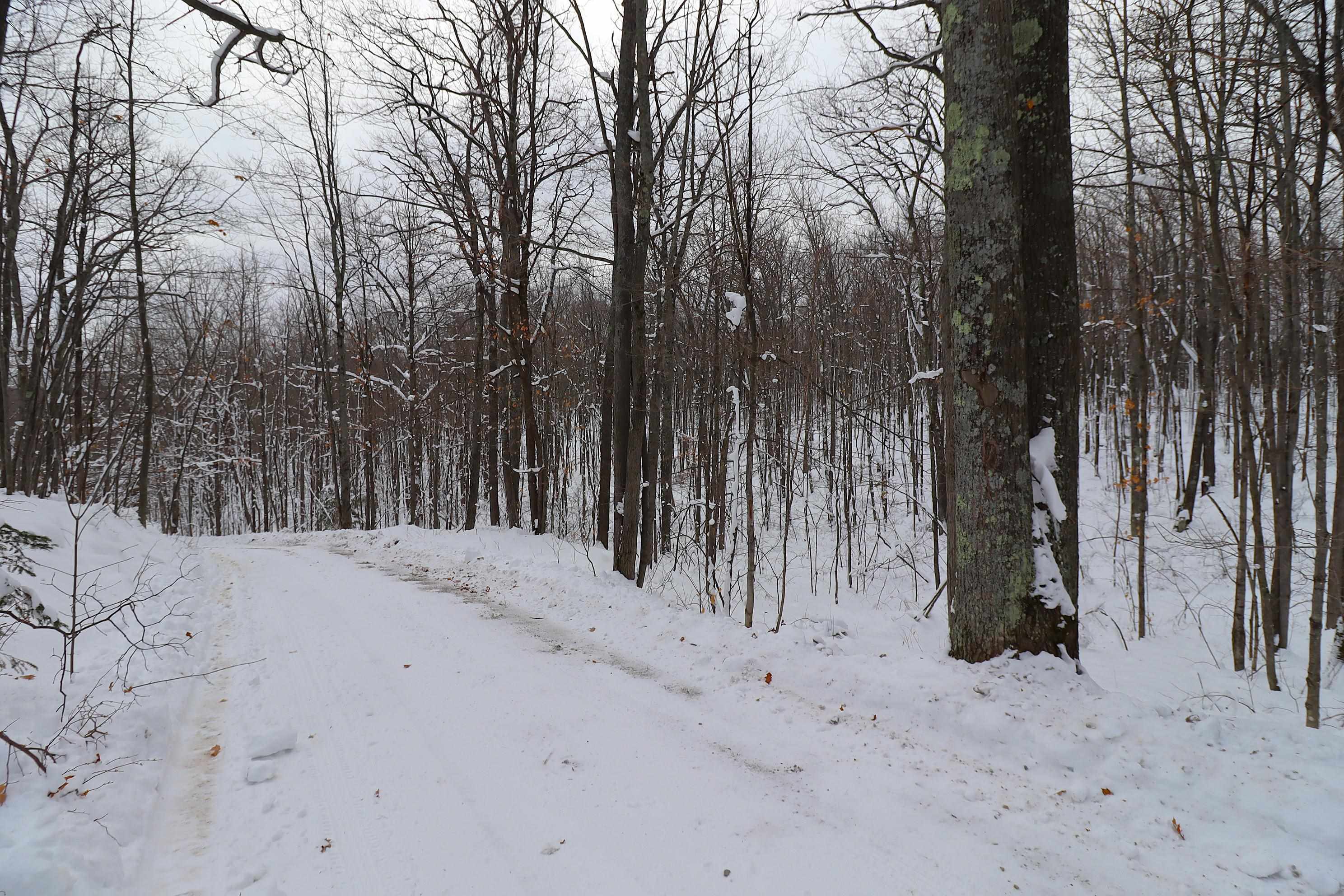 85455 Happy Hollow Road Bayfield, WI 54814 - Photo 43 of 60