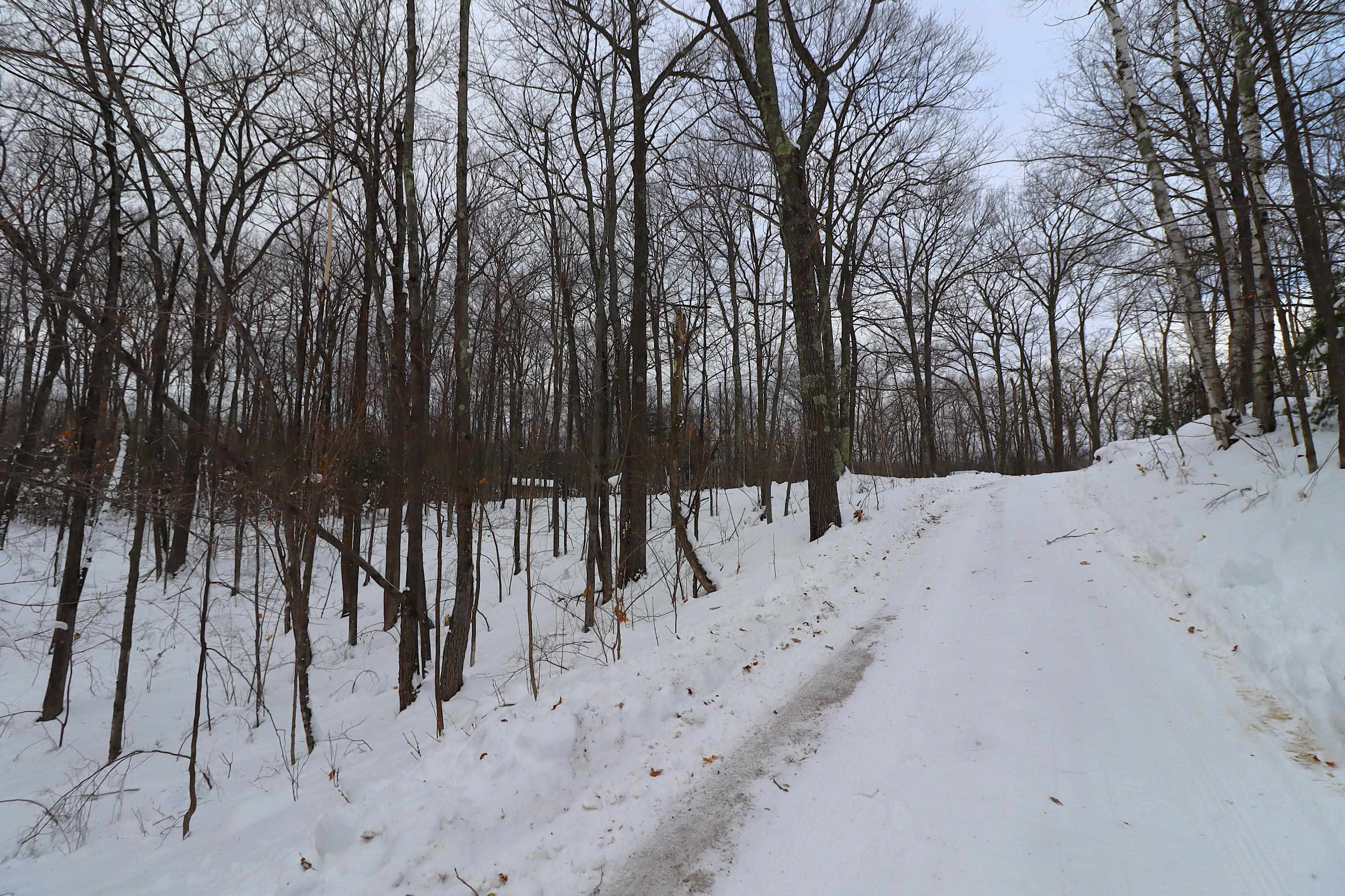 85455 Happy Hollow Road Bayfield, WI 54814 - Photo 44 of 60