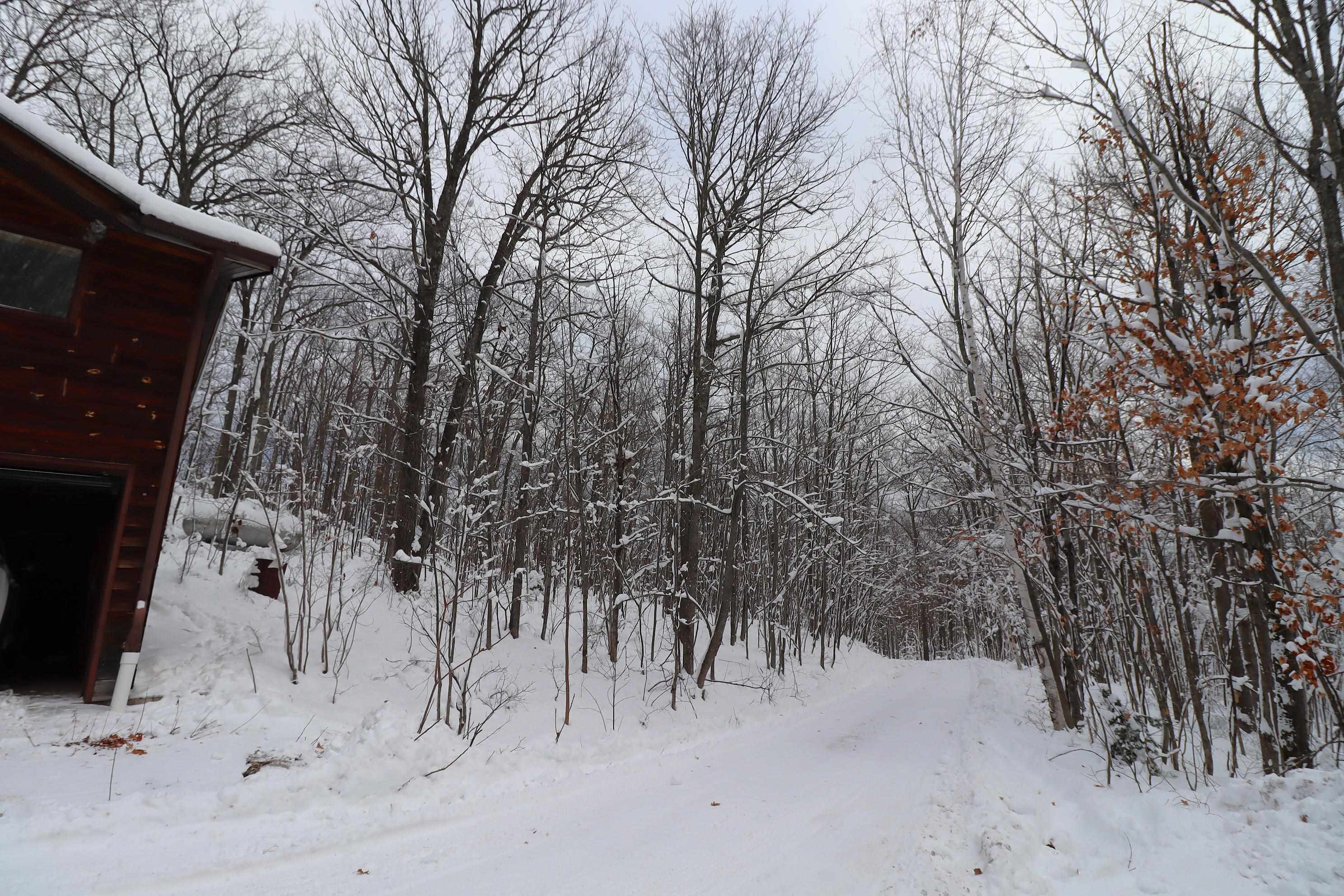 85455 Happy Hollow Road Bayfield, WI 54814 - Photo 45 of 60