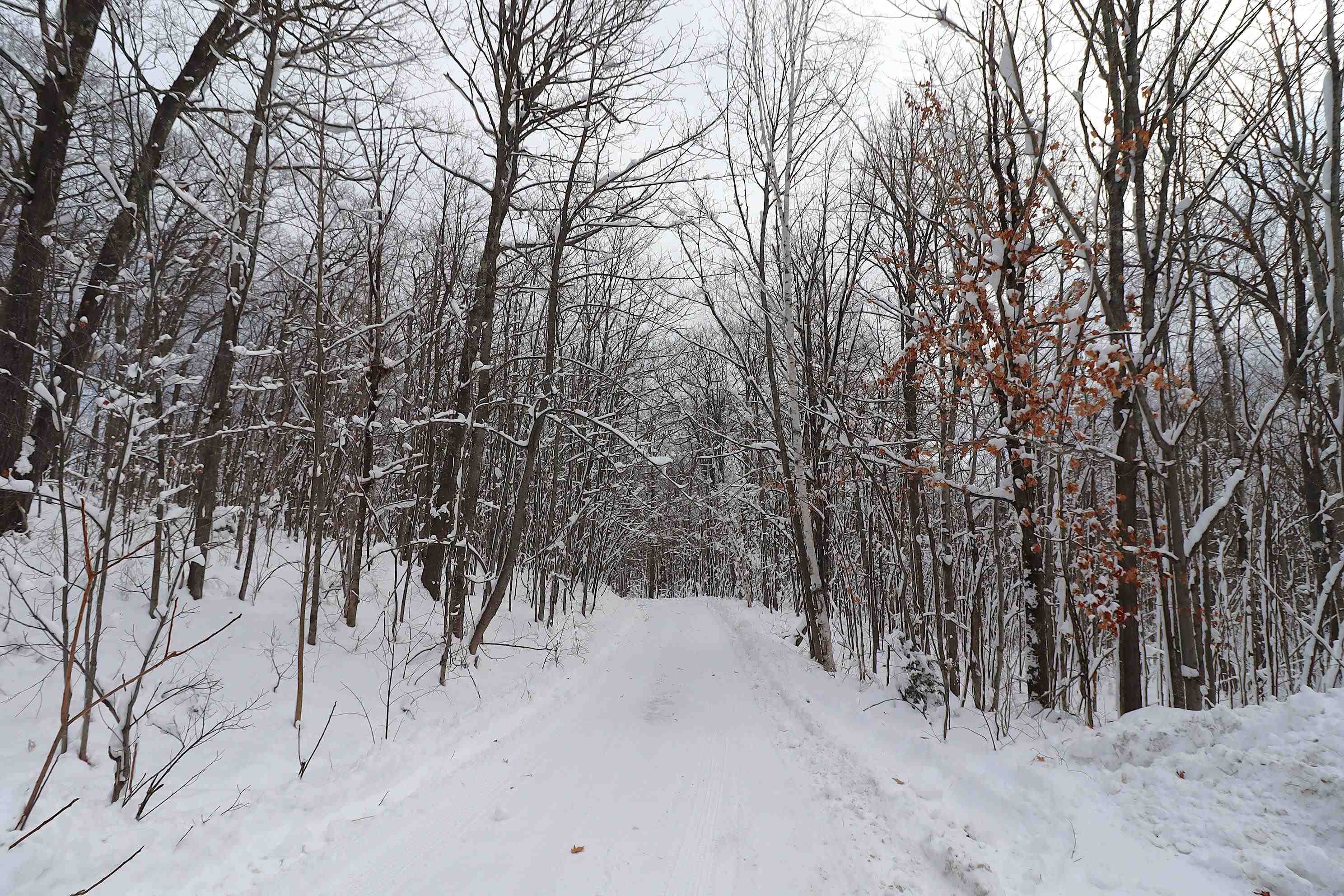 85455 Happy Hollow Road Bayfield, WI 54814 - Photo 52 of 60