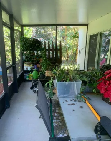 a room with potted plants and a large window
