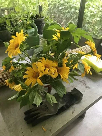 a bathroom with a toilet and shower