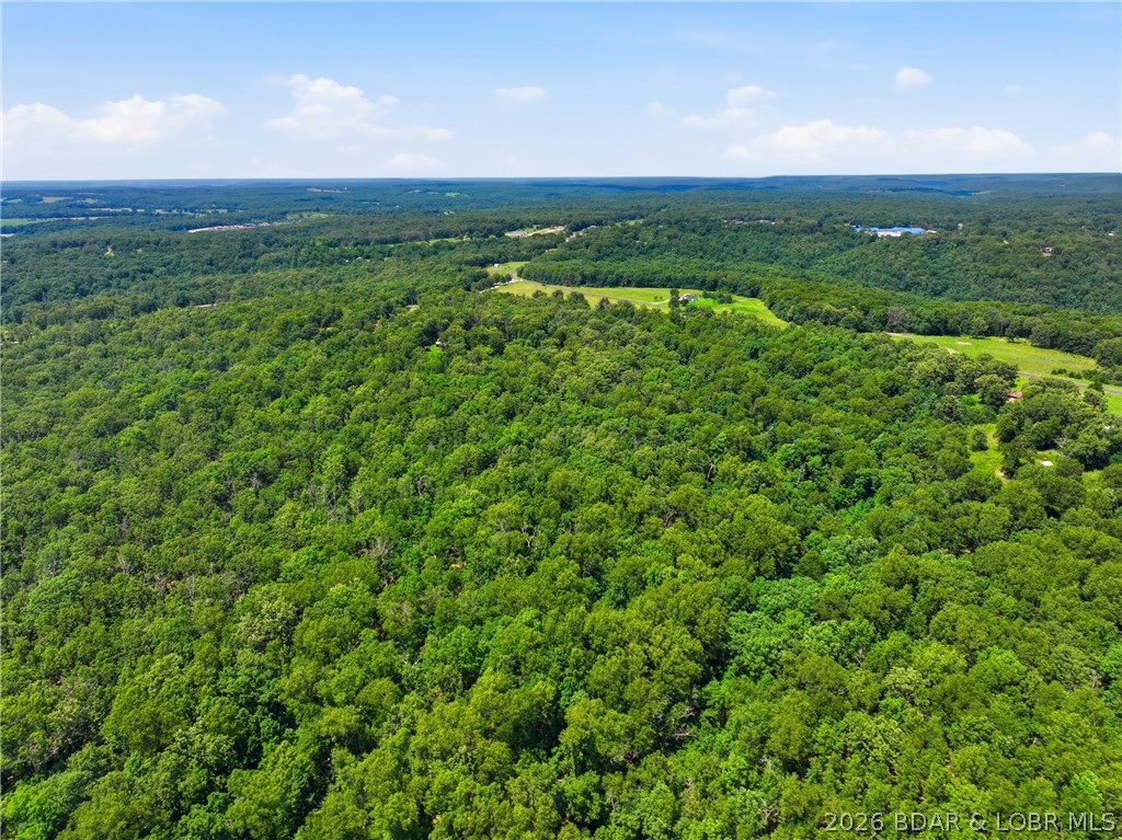 160 Salt Ground Road Macks Creek, MO 65786 - Photo 27 of 36