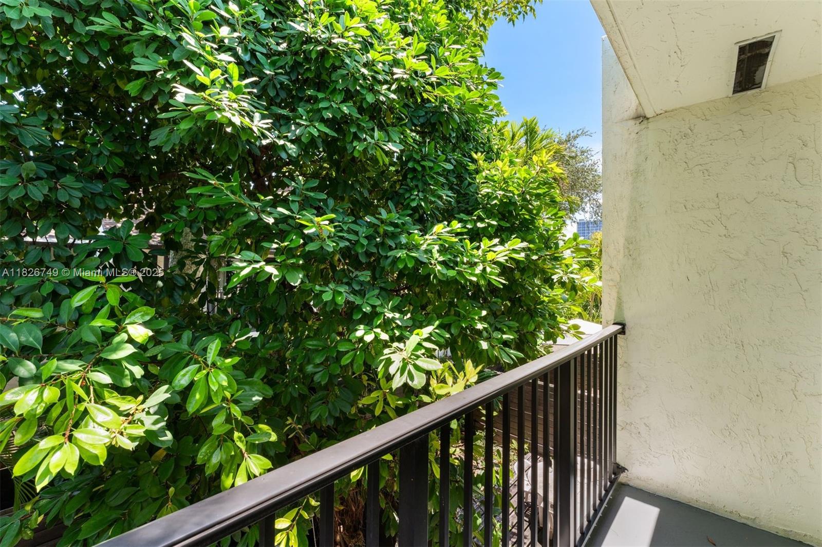 3214 West Trade Avenue, Unit III5 Miami, FL 33133 - Photo 13 of 31 a view of a balcony with a plant