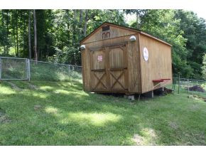 226 Marion Branch Road Elizabethton, TN 37643 - Photo 4 of 9 Photo 4