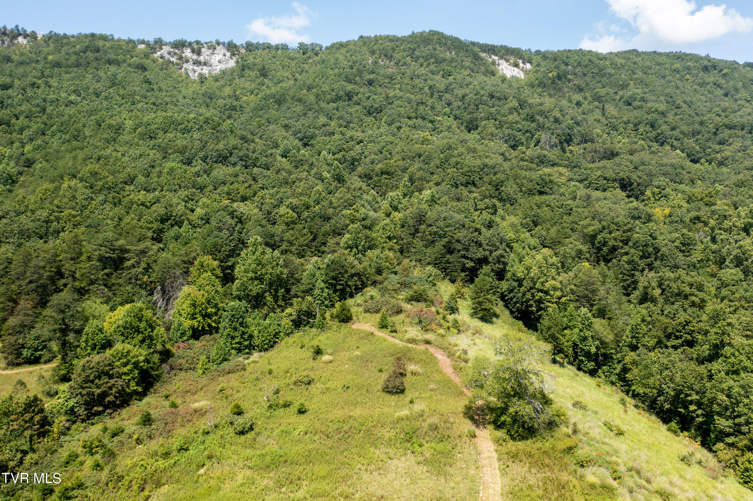 Tbd Frosts Road Surgoinsville, TN 37873 - Photo 15 of 23 Frost Rd-13
