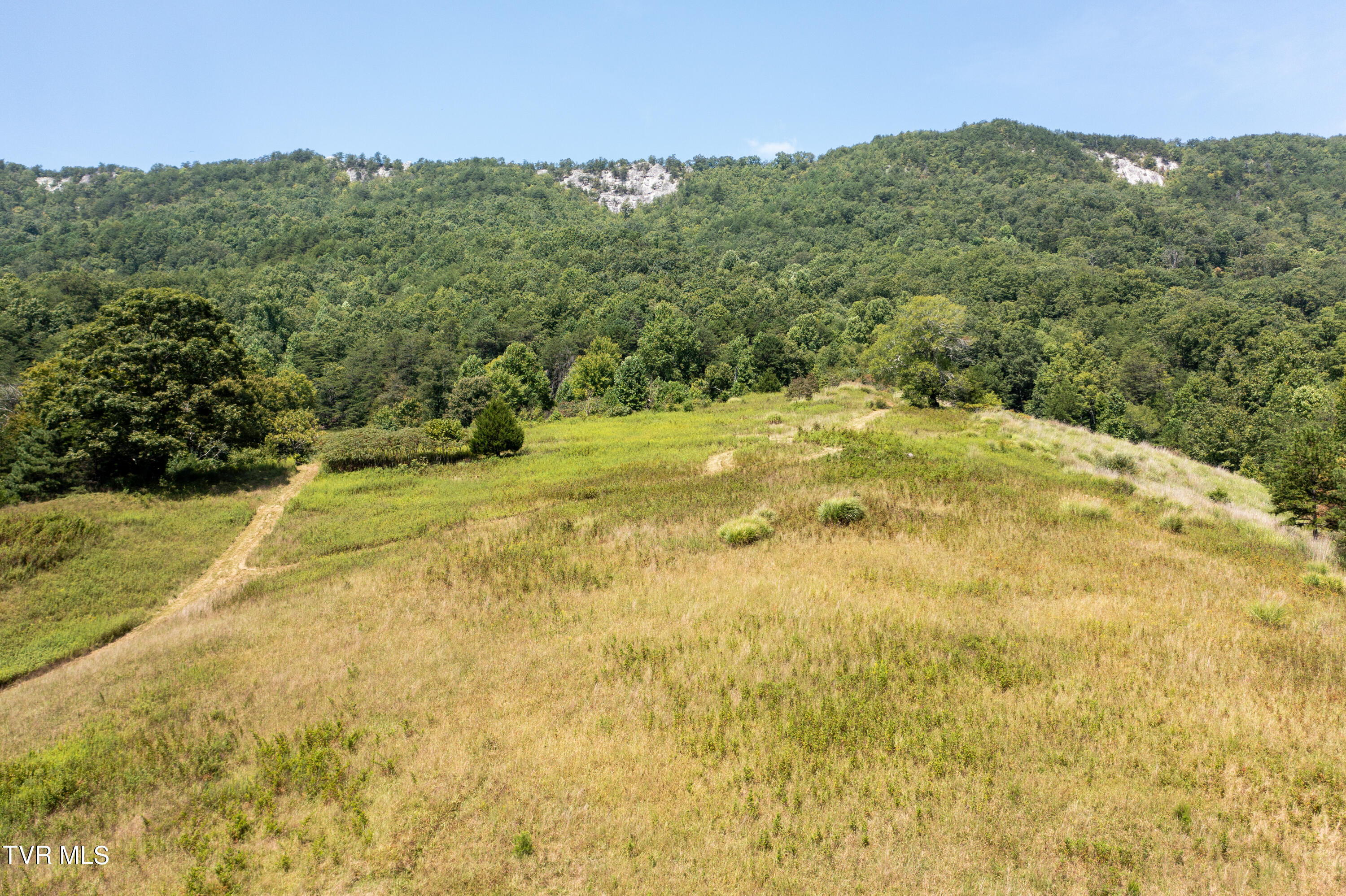 Tbd Frosts Road Surgoinsville, TN 37873 - Photo 17 of 23 Frost Rd-16