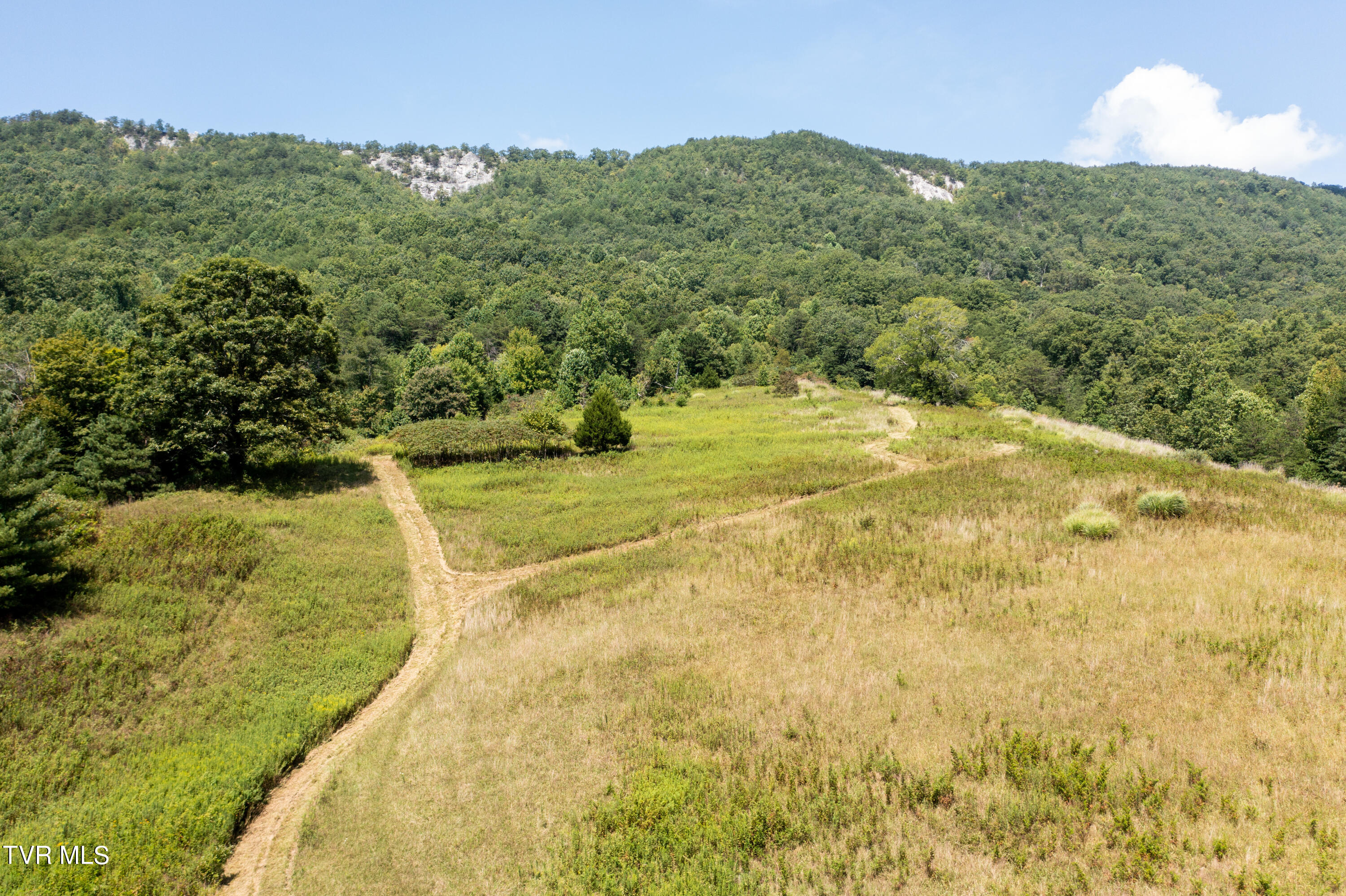 Tbd Frosts Road Surgoinsville, TN 37873 - Photo 18 of 23 Frost Rd-17