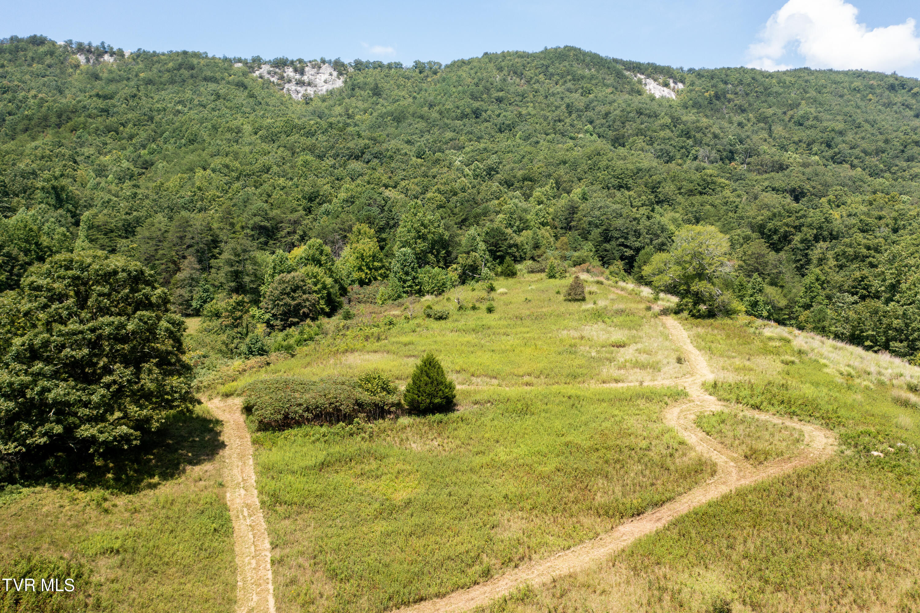 Tbd Frosts Road Surgoinsville, TN 37873 - Photo 19 of 23 Frost Rd-18