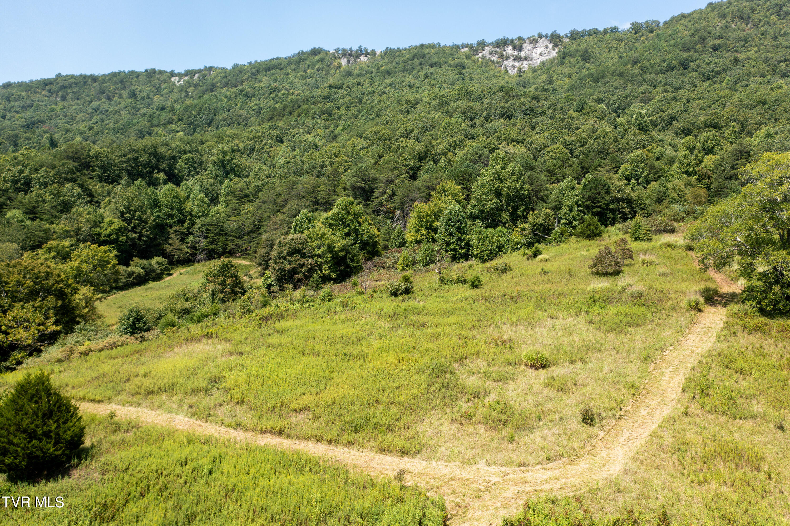 Tbd Frosts Road Surgoinsville, TN 37873 - Photo 20 of 23 Frost Rd-19