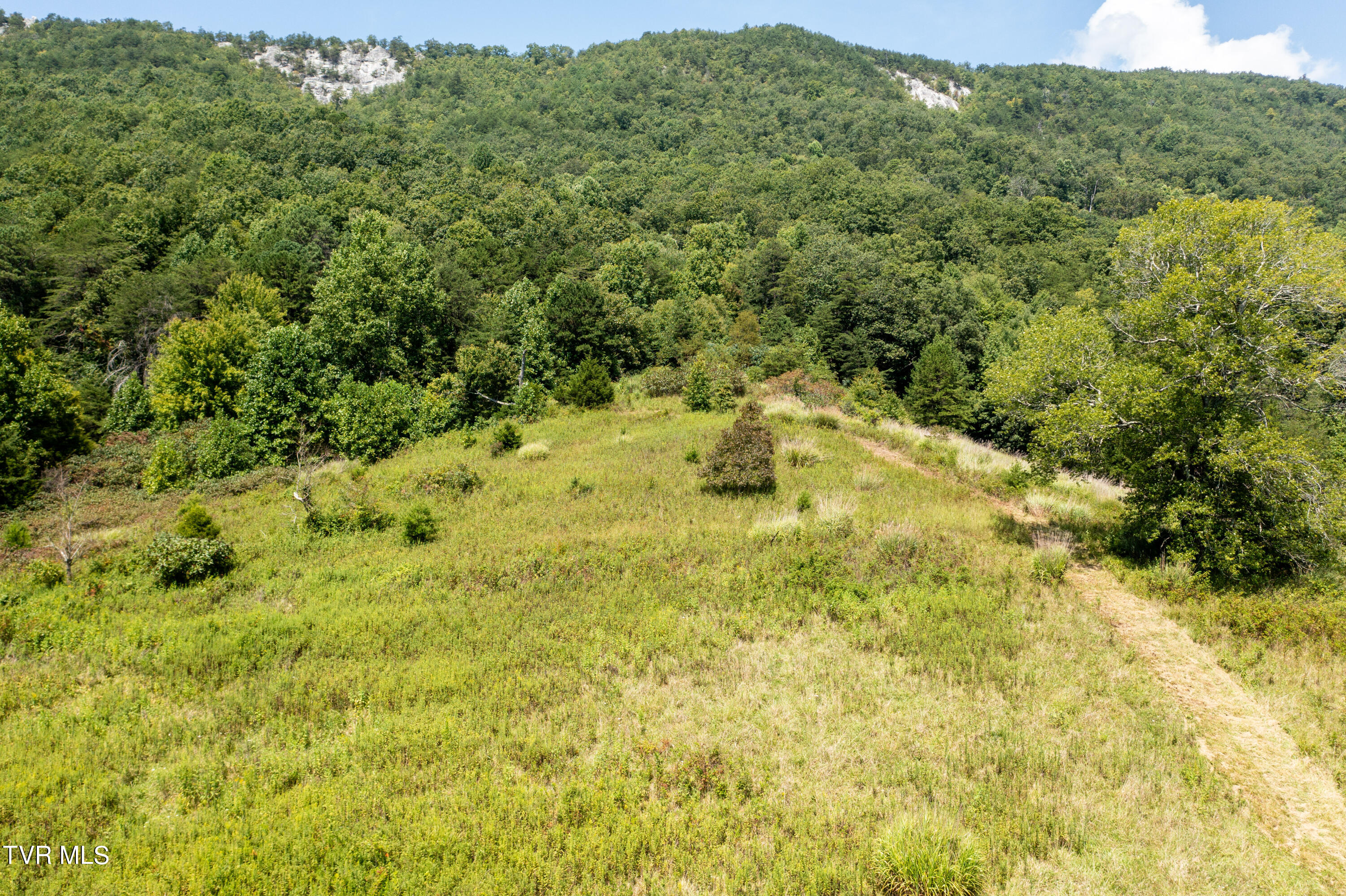 Tbd Frosts Road Surgoinsville, TN 37873 - Photo 21 of 23 Frost Rd-20