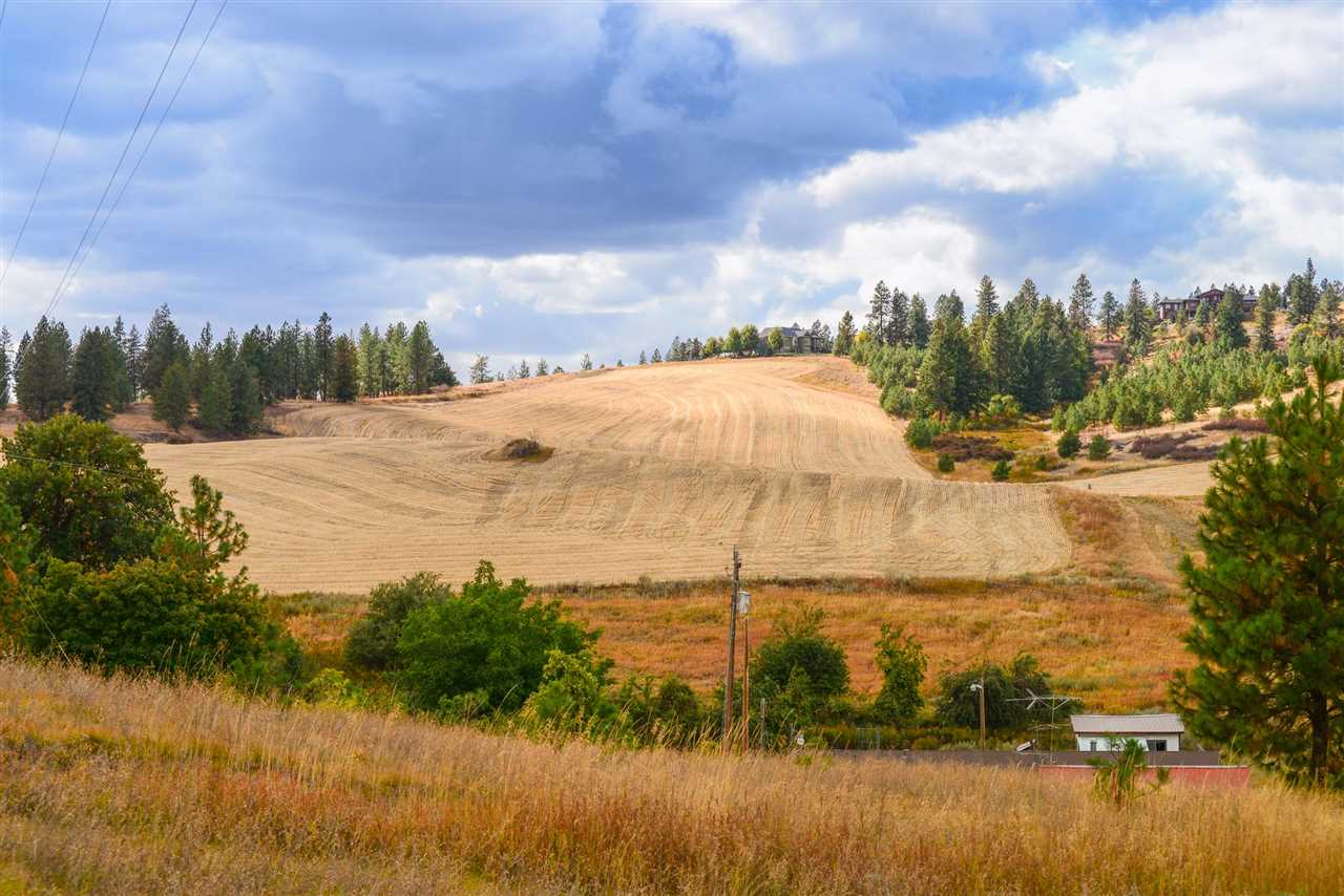 0 North Dalton Road Spokane, WA 99208 - Photo 1 of 5