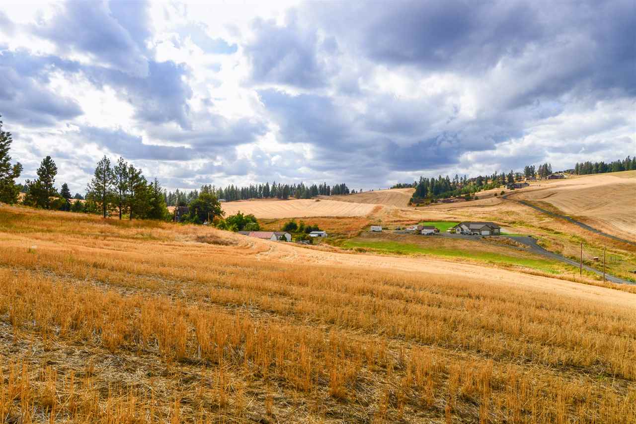 0 North Dalton Road Spokane, WA 99208 - Photo 3 of 5