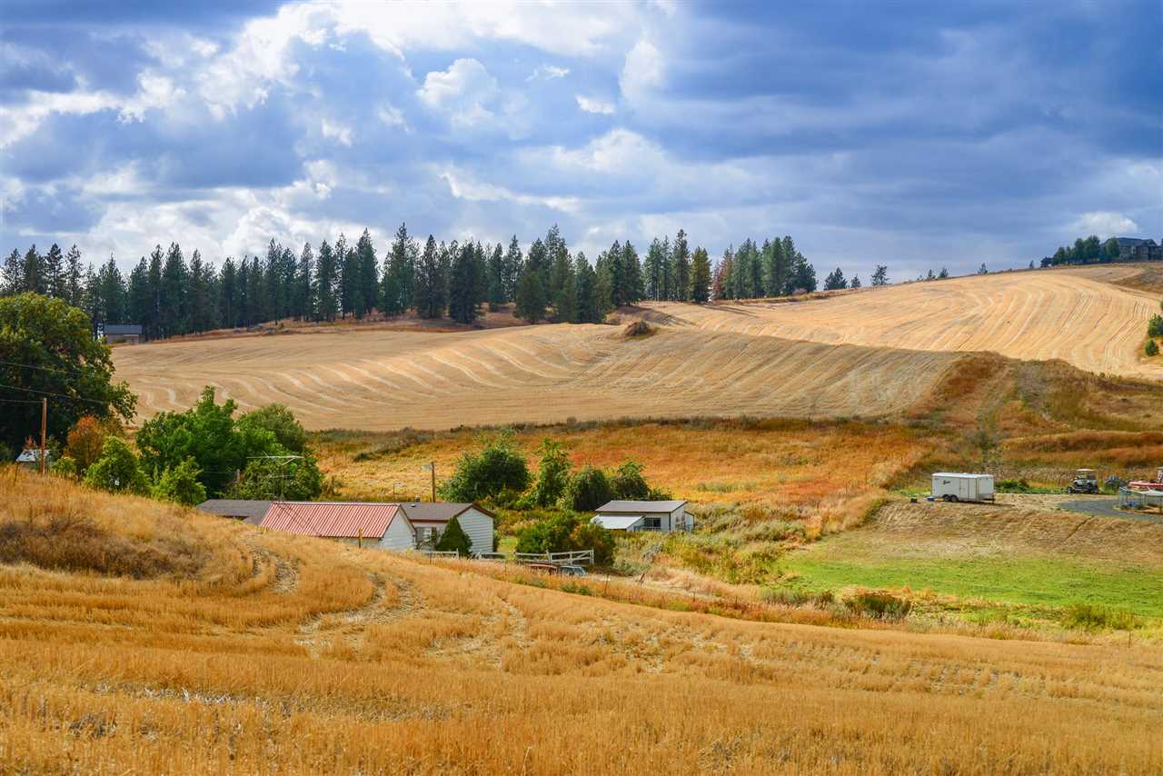 0 North Dalton Road Spokane, WA 99208 - Photo 4 of 5