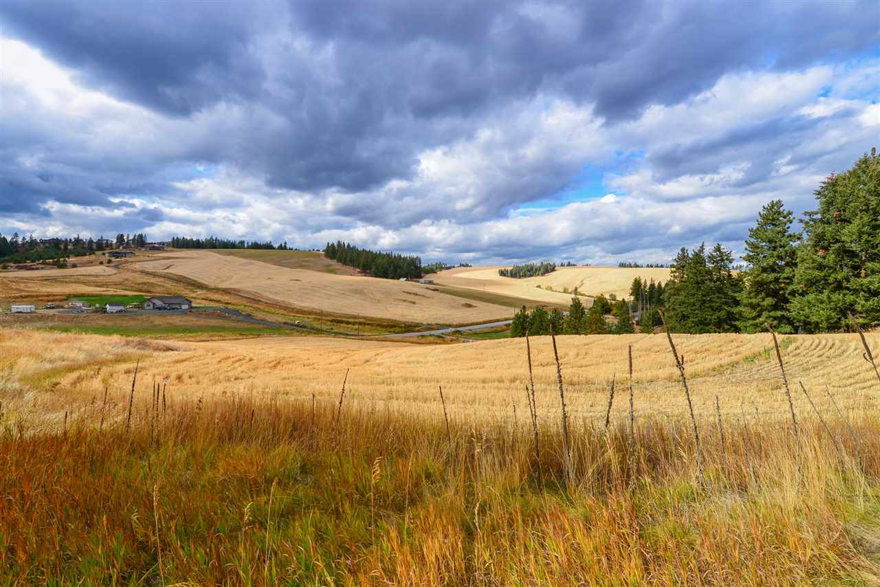 0 North Dalton Road Spokane, WA 99208 - Photo 5 of 5