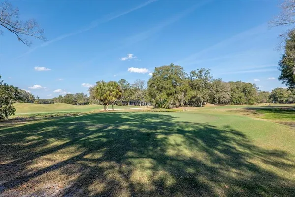 a view of a garden with an trees