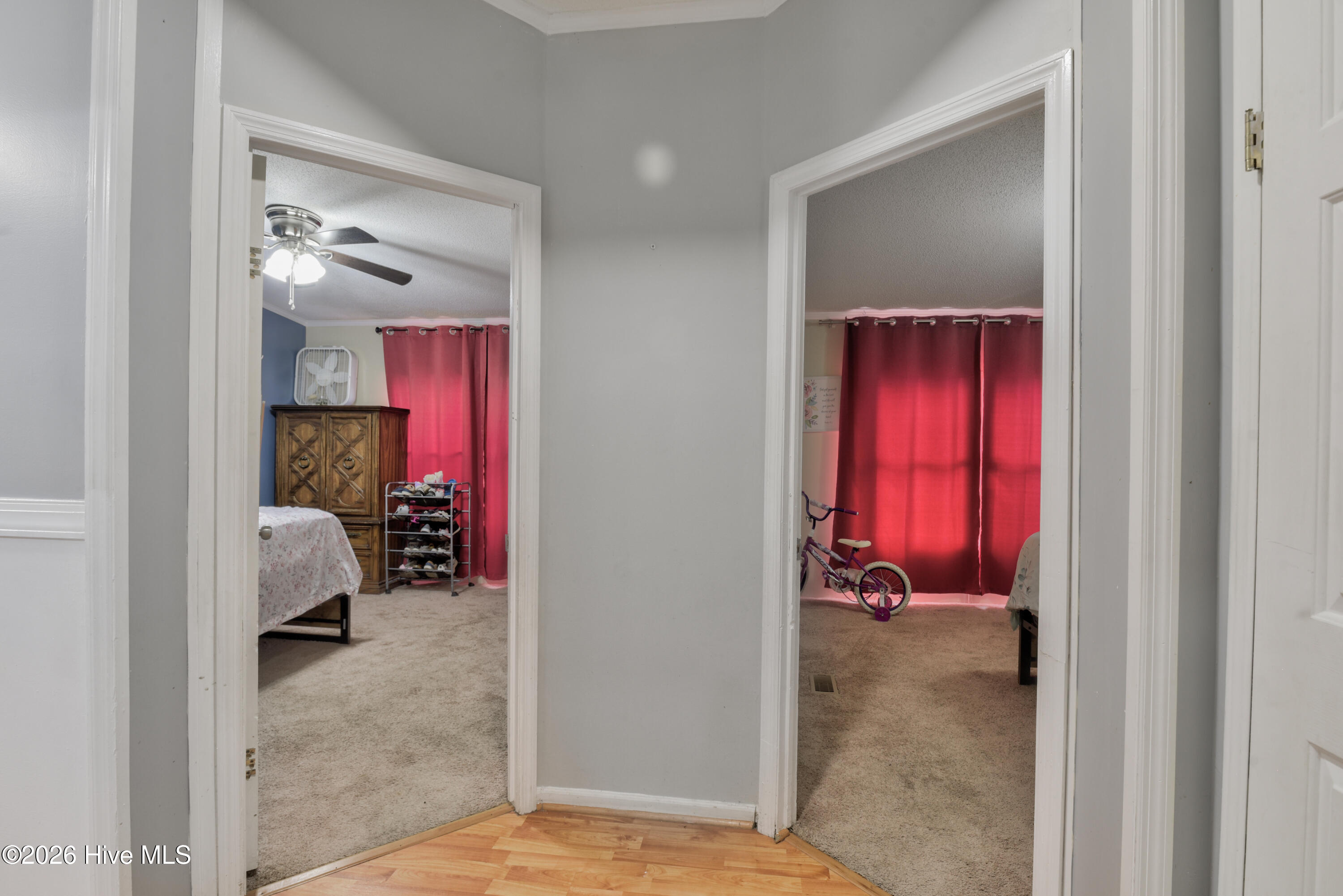 287 Campground Road Whiteville, NC 28472 - Photo 20 of 50 287Campground202620