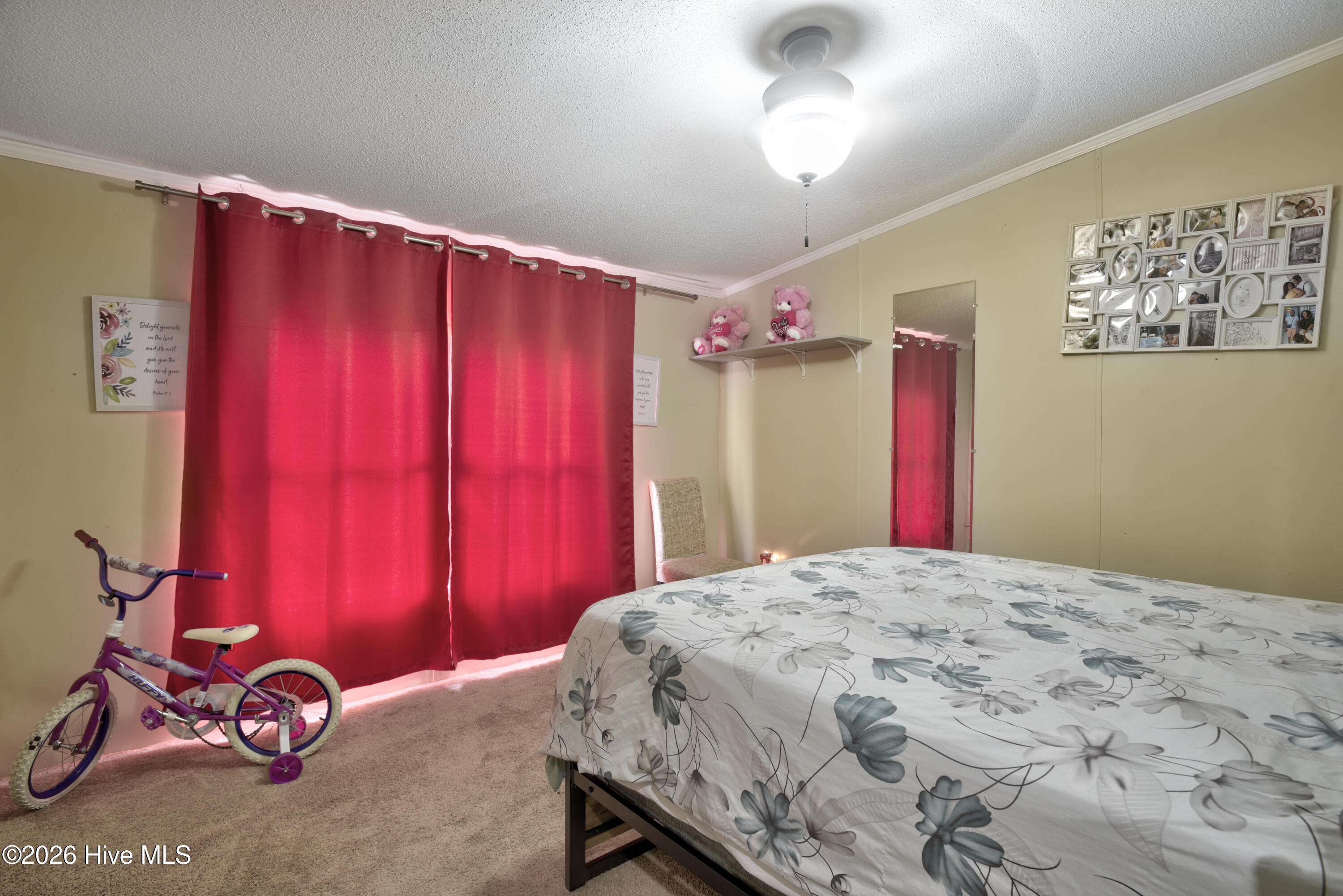 287 Campground Road Whiteville, NC 28472 - Photo 23 of 50 287Campground202623