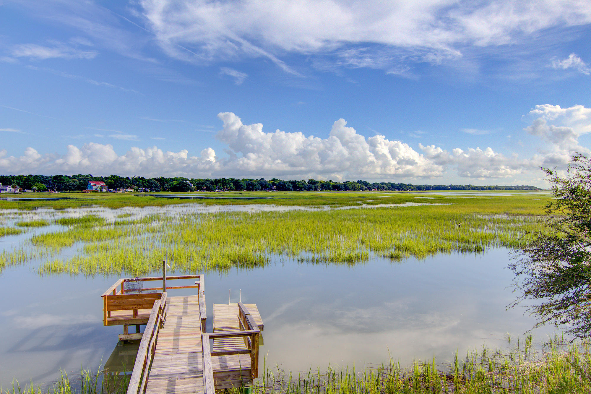 1606 Teal Marsh Road Charleston, SC 29412 - Photo 17 of 40 20