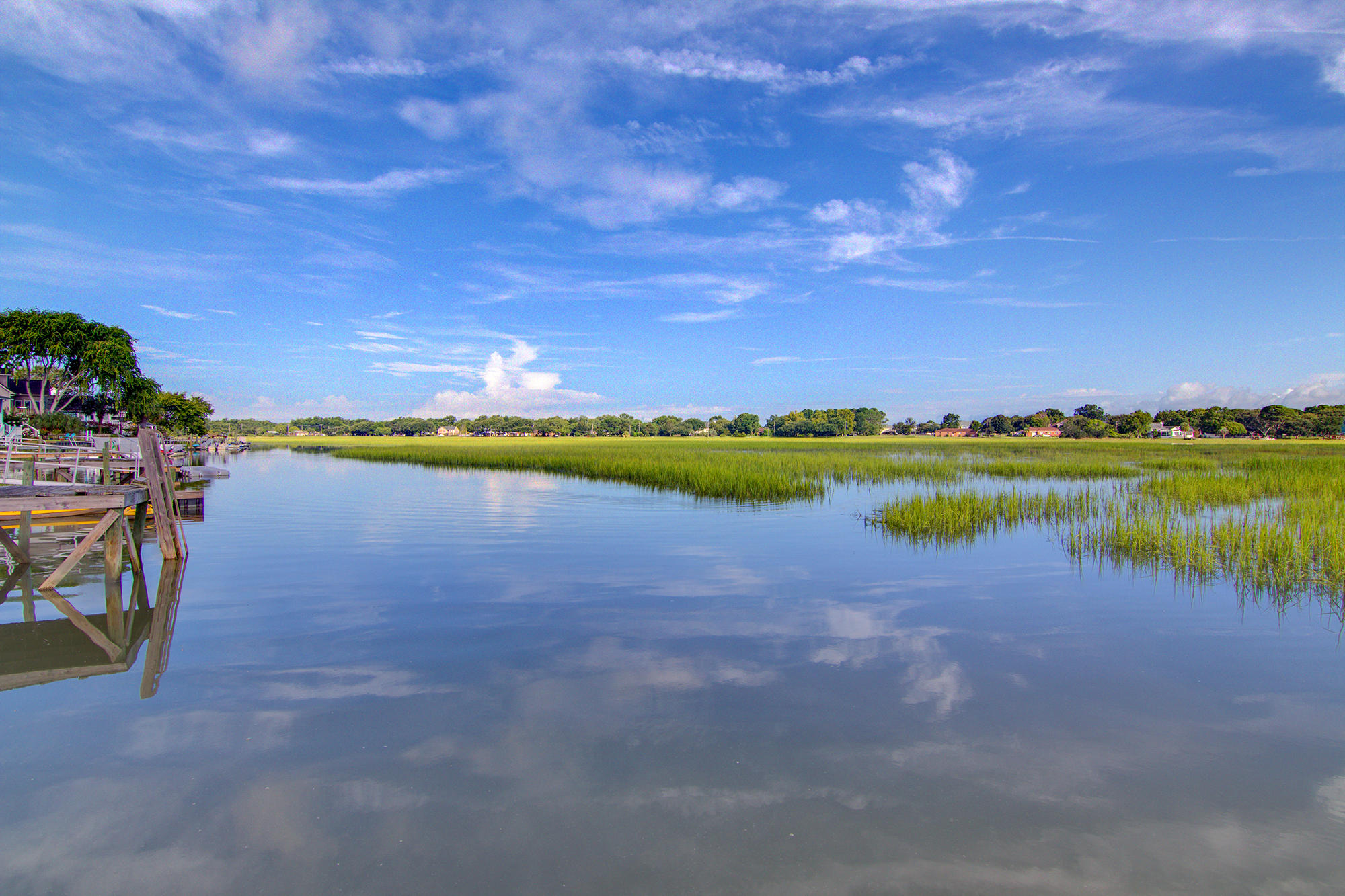 1606 Teal Marsh Road Charleston, SC 29412 - Photo 23 of 40 26