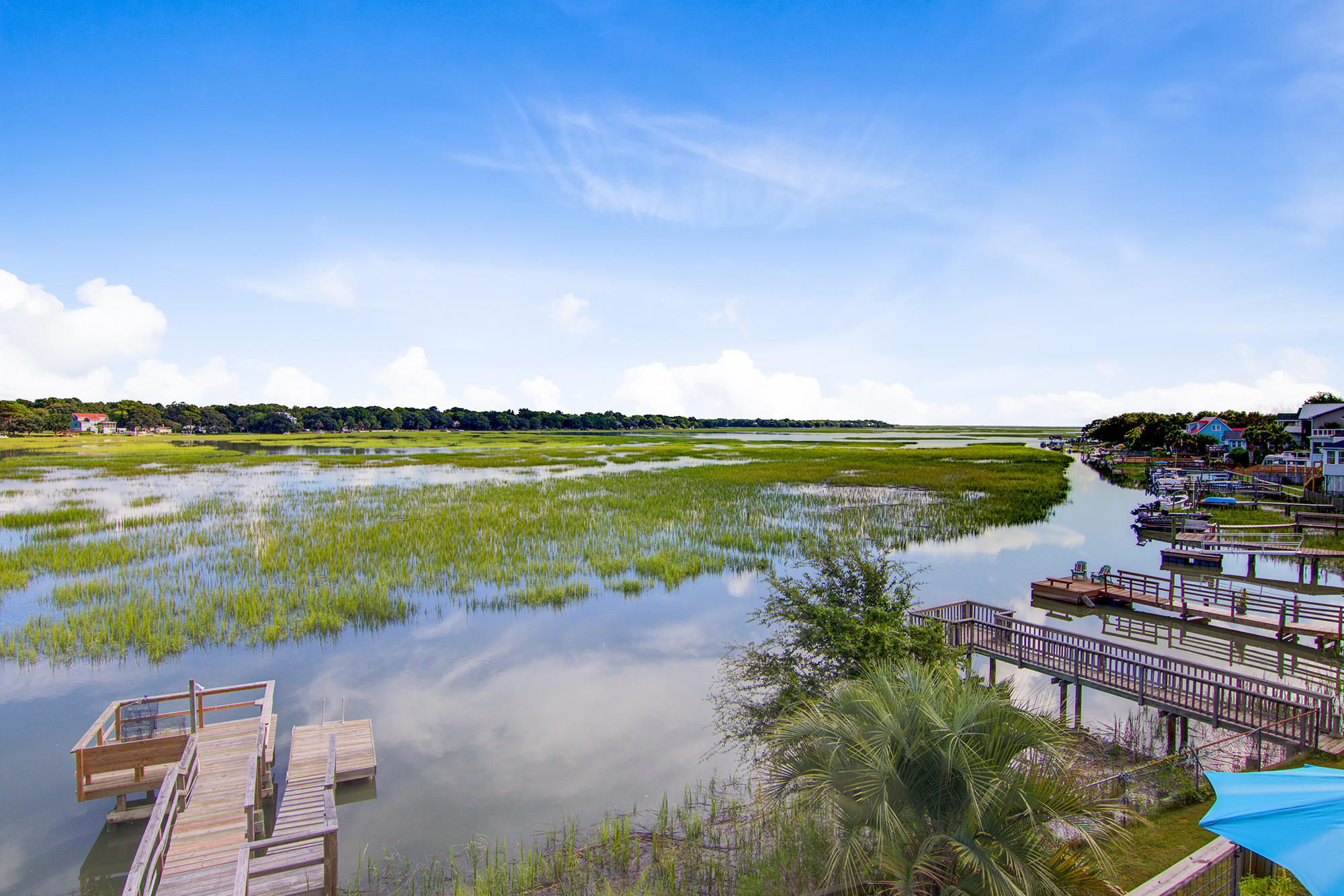 1606 Teal Marsh Road Charleston, SC 29412 - Photo 35 of 40 38