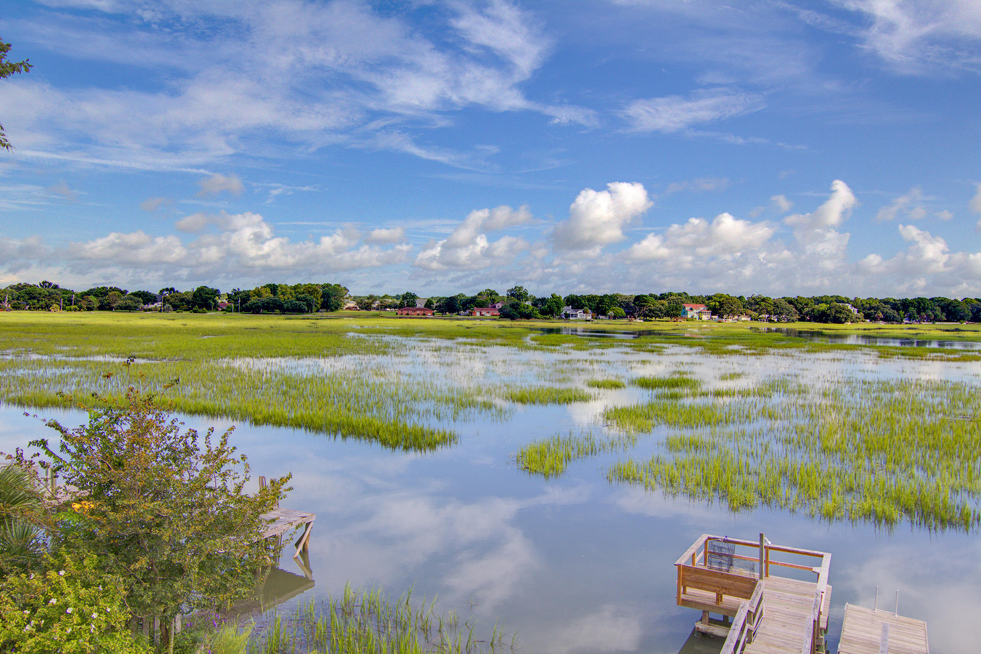 1606 Teal Marsh Road Charleston, SC 29412 - Photo 36 of 40 39
