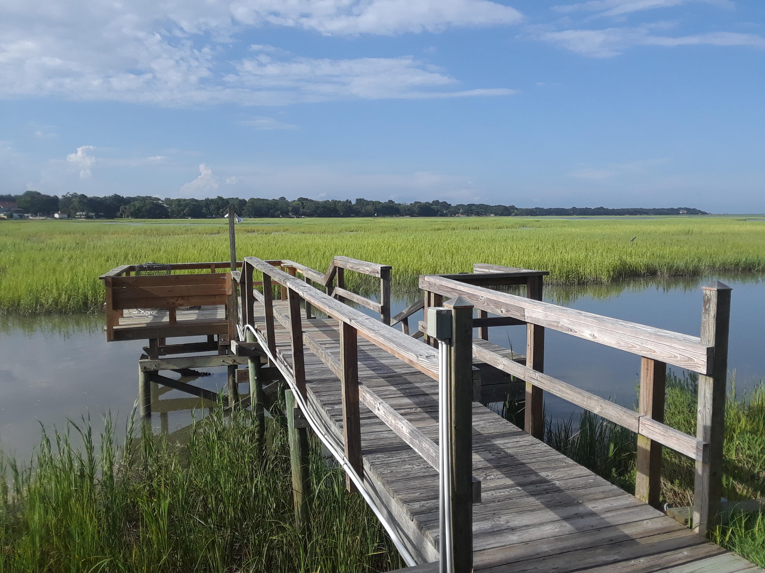 1606 Teal Marsh Road Charleston, SC 29412 - Photo 38 of 40 20170806_175716