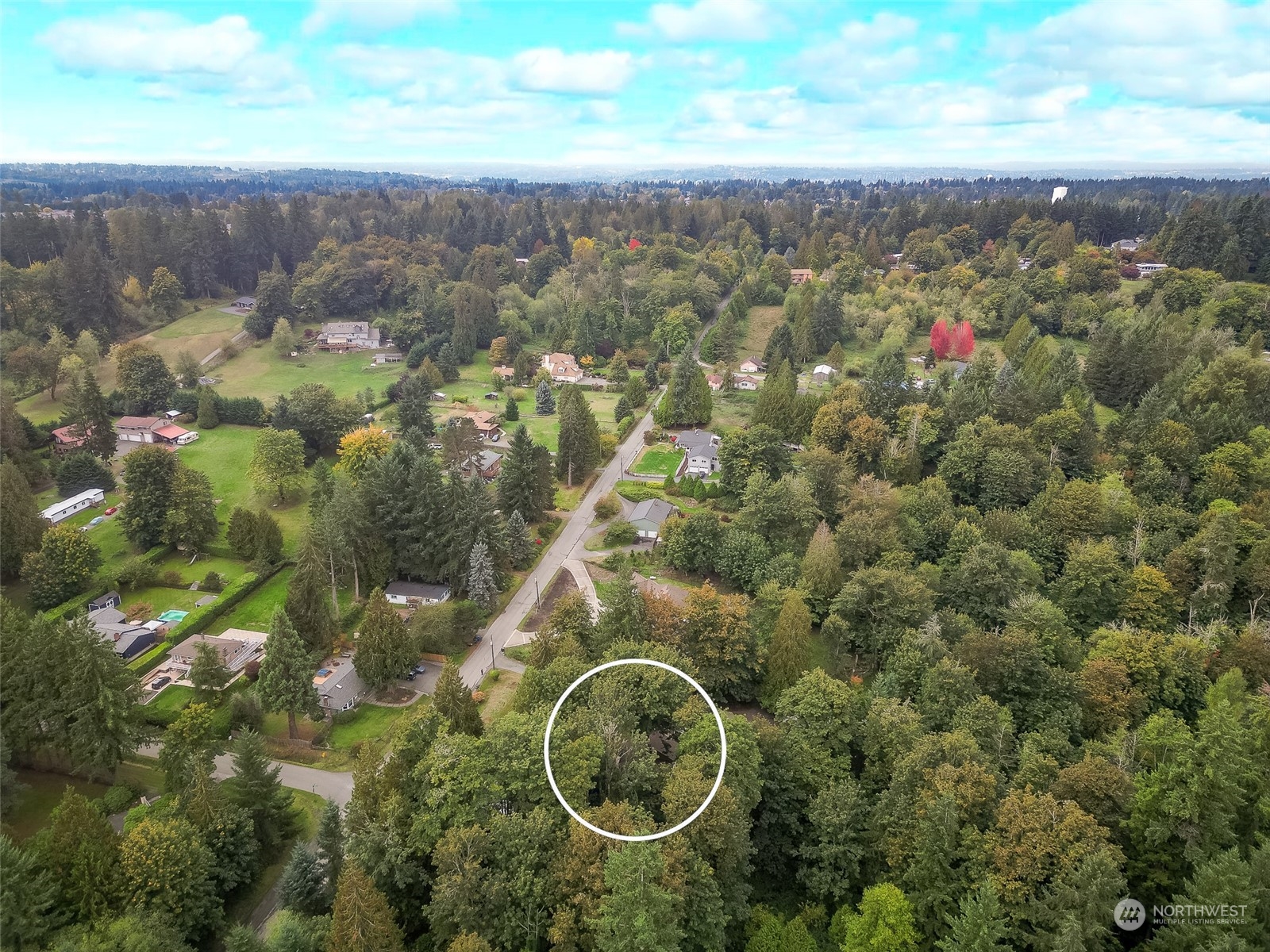 15858 Southeast 116th Street Renton, WA 98059 - Photo 35 of 37 Gallery Image 35